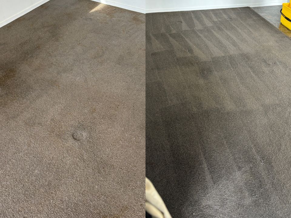 The Ultimate Guide to Carpet and Upholstery Cleaning in Waikato, Palmerston North, and Christchurch