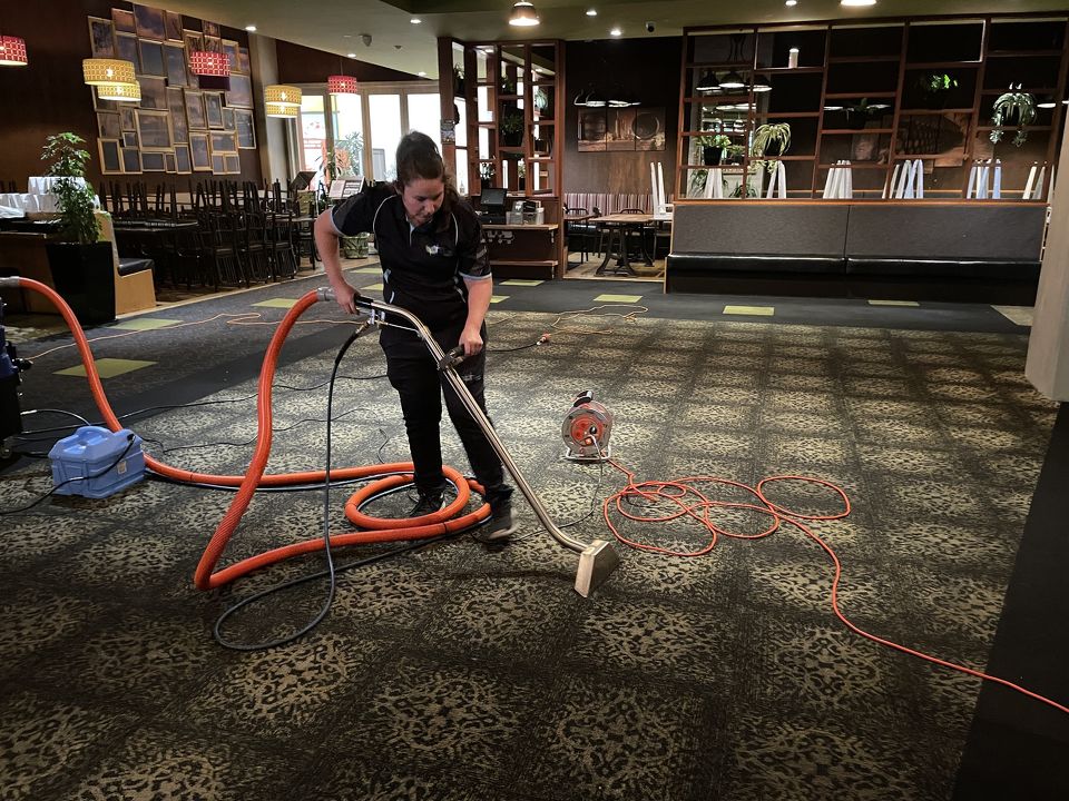 5 Benefits of Regular Carpet Cleaning in Hamilton