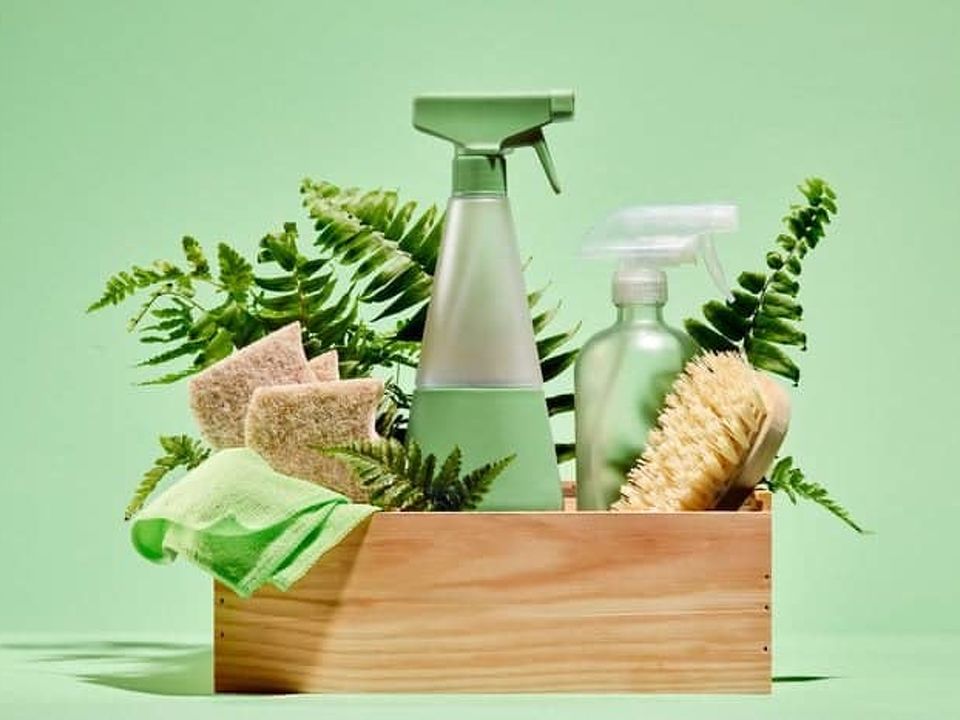 Eco-Friendly Cleaning Solutions: Green Choices for a Healthier Home